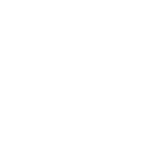 magnifying glass icon